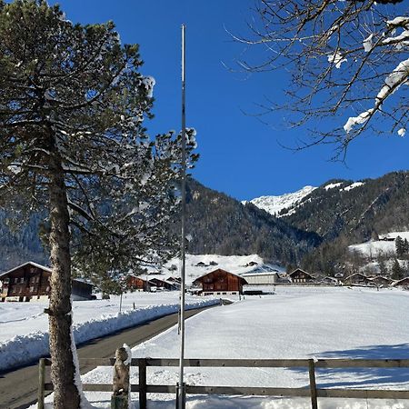 Edelweiss 4 Zi Ferienwohnung In Landhaus Frutigen Exterior photo